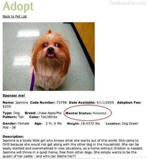 HowNotToAdvertiseADogForAdoption.jpg