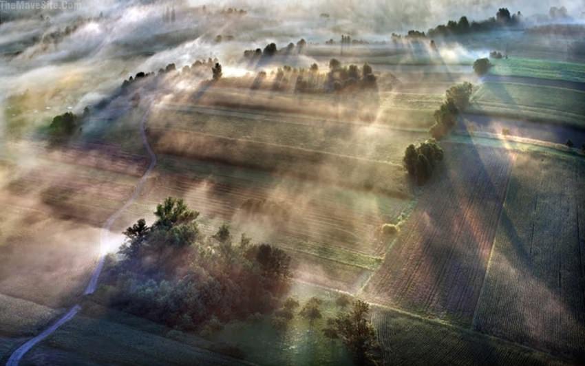 MorningFog.jpg