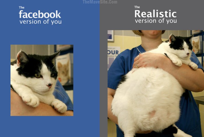 FacebookVSReality-CatEdition.jpg