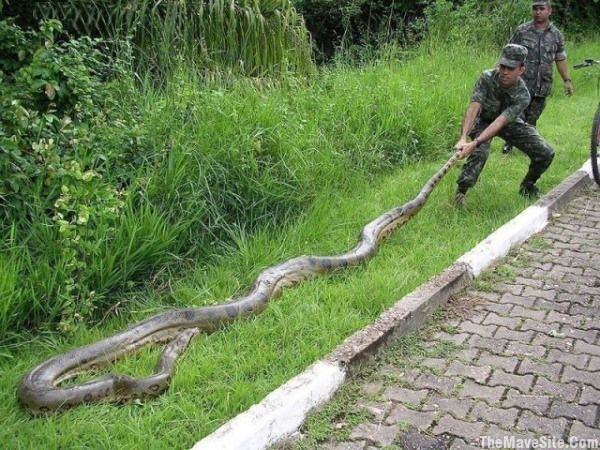 MeanwhileInThailand..jpg