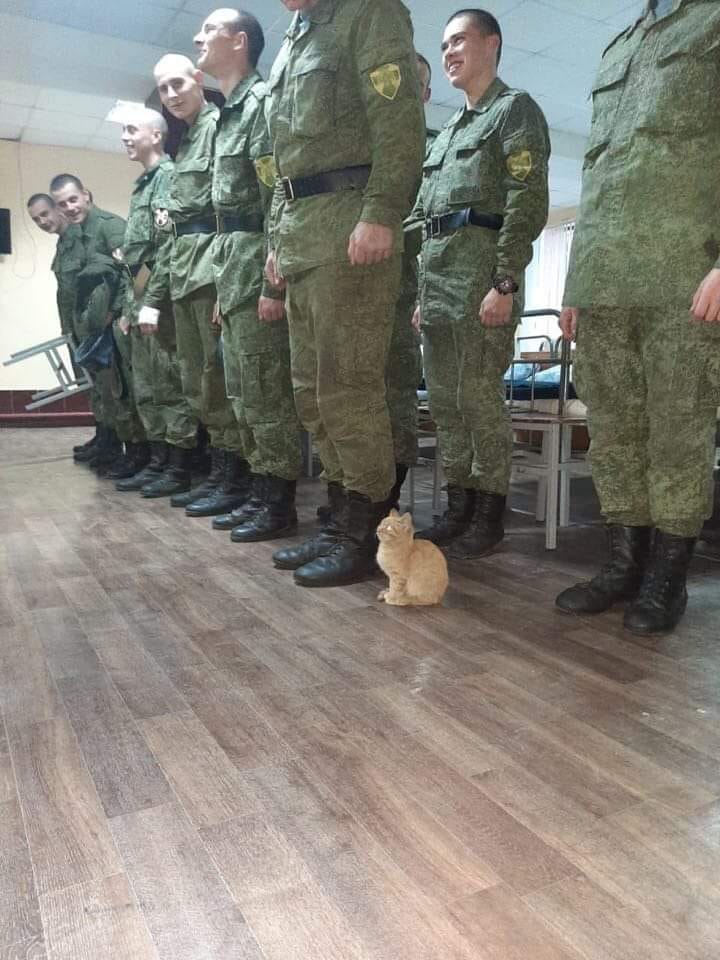 ktDDmSB.jpg