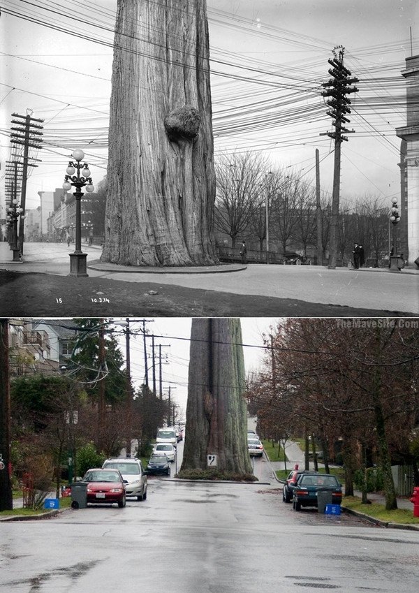 VancouverRoundabout.jpg