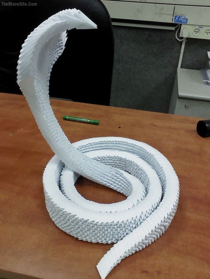 PaperSnake.jpg