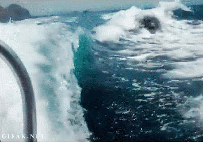 cwx9BkU.gif