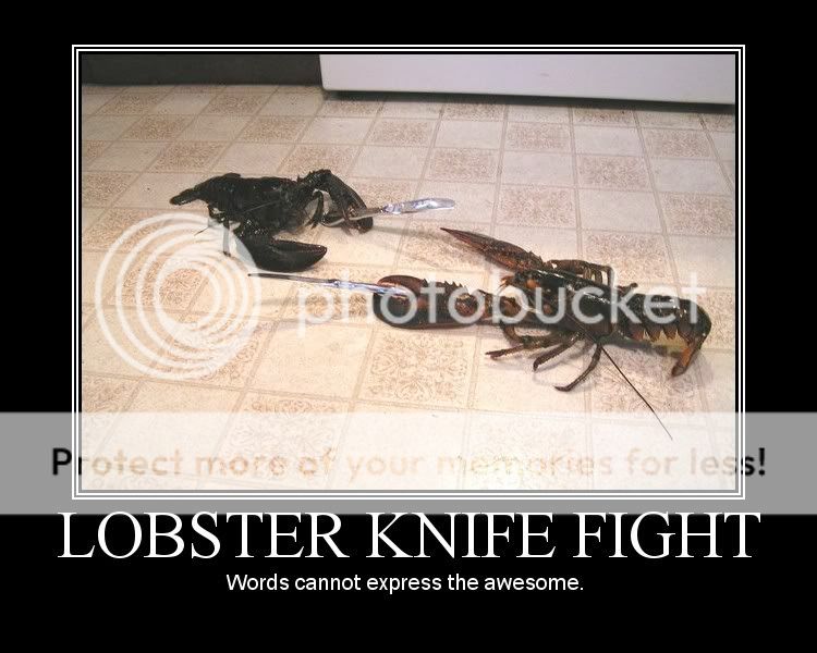 lobsterknifefightawesome1.jpg