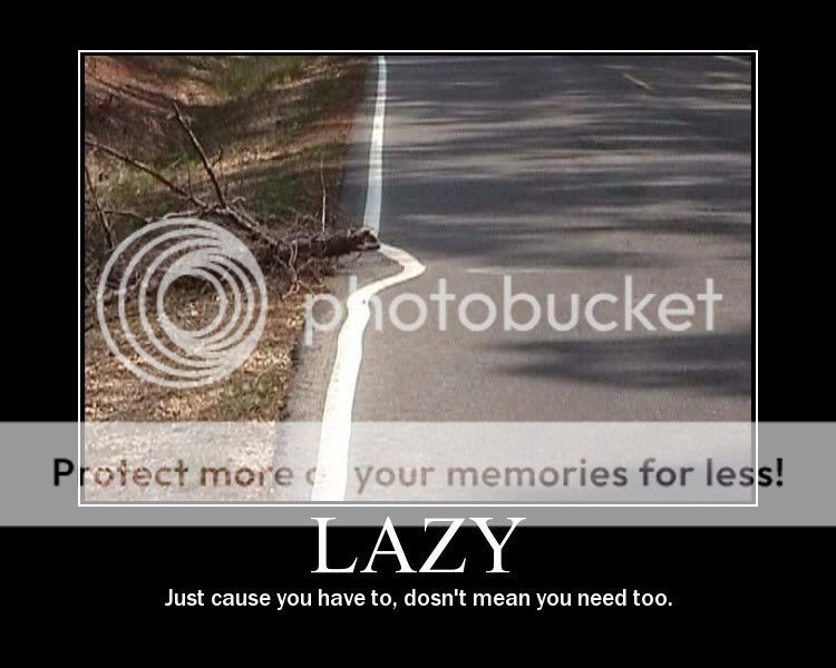 Lazy.jpg