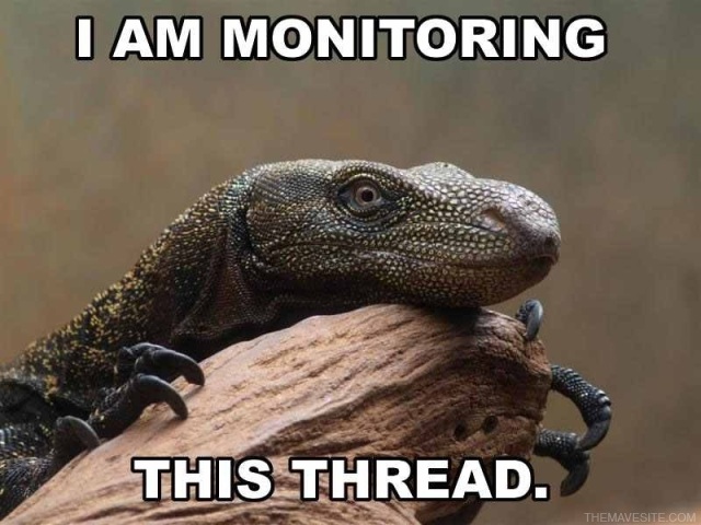 MonitoringThisThread.jpg