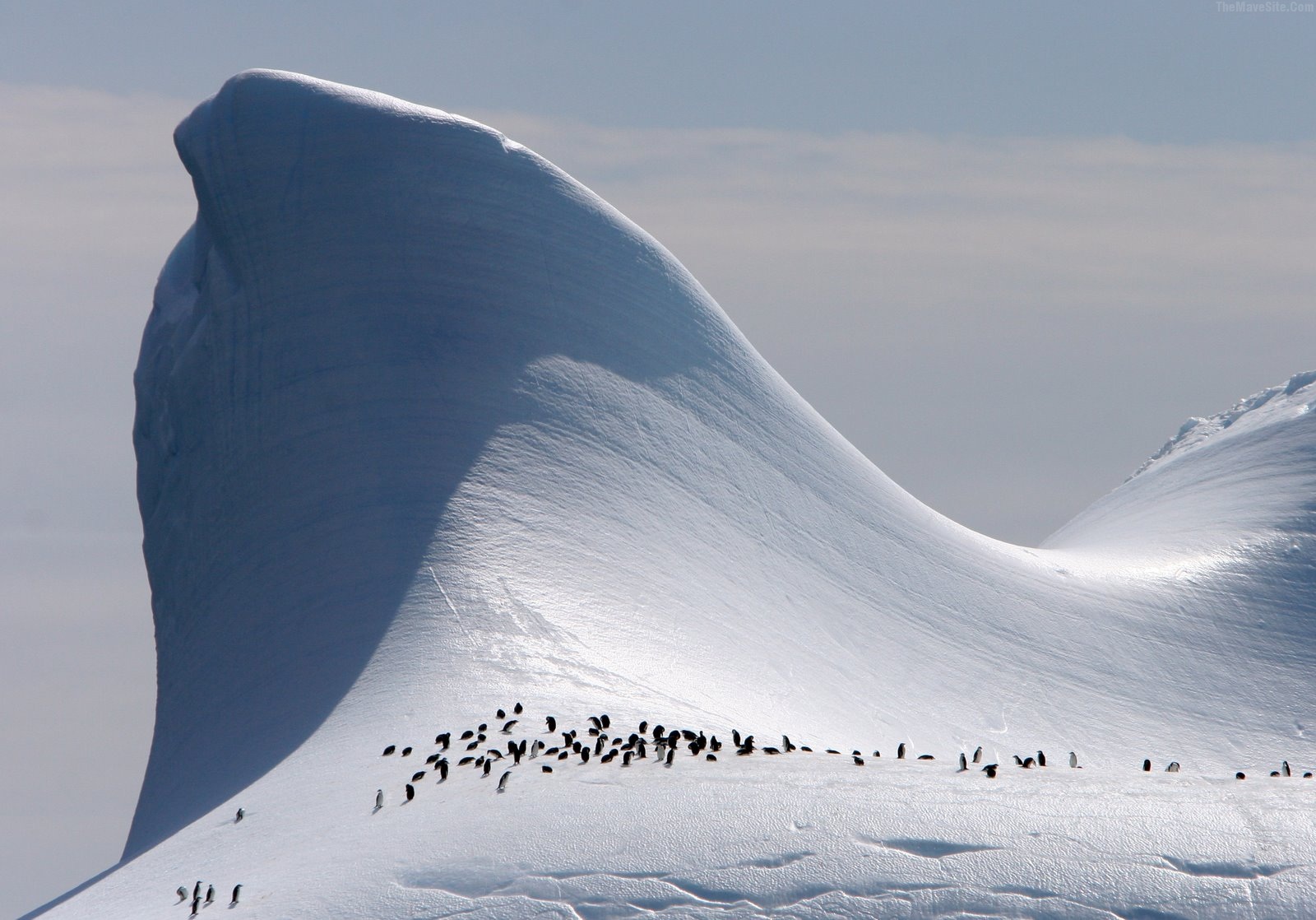 ElephantIsland,Antarctica.jpg