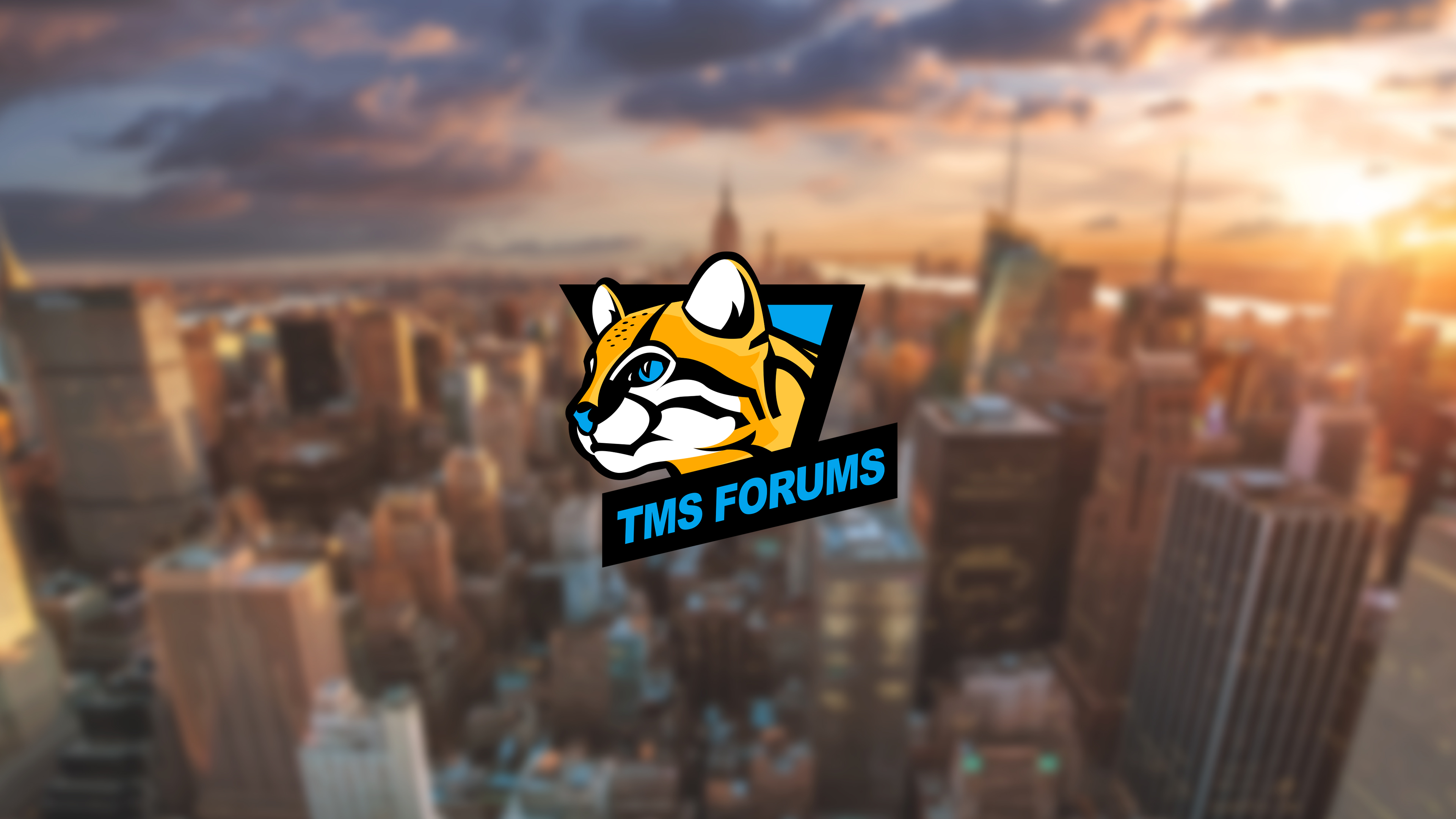 TMS Forums Logo Wallpaper City New York.jpg